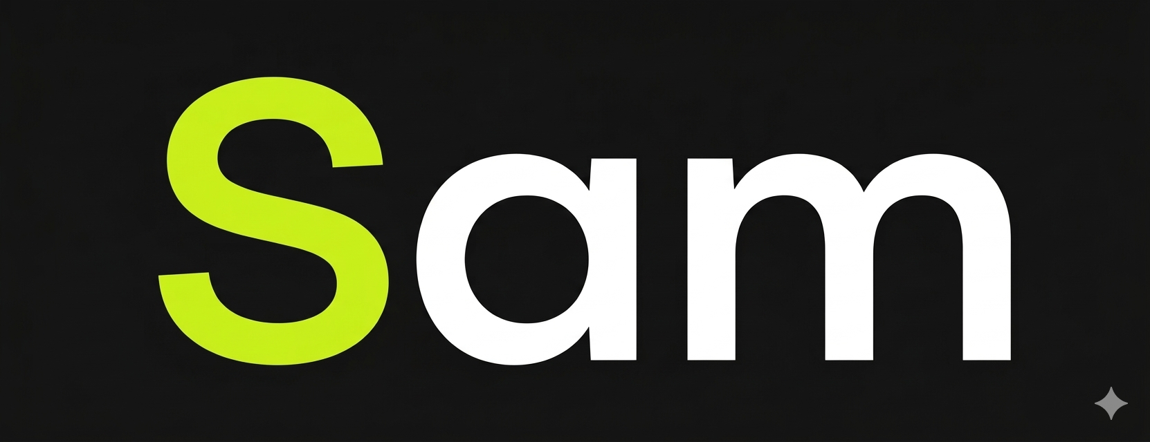 samspoonersalespro.com